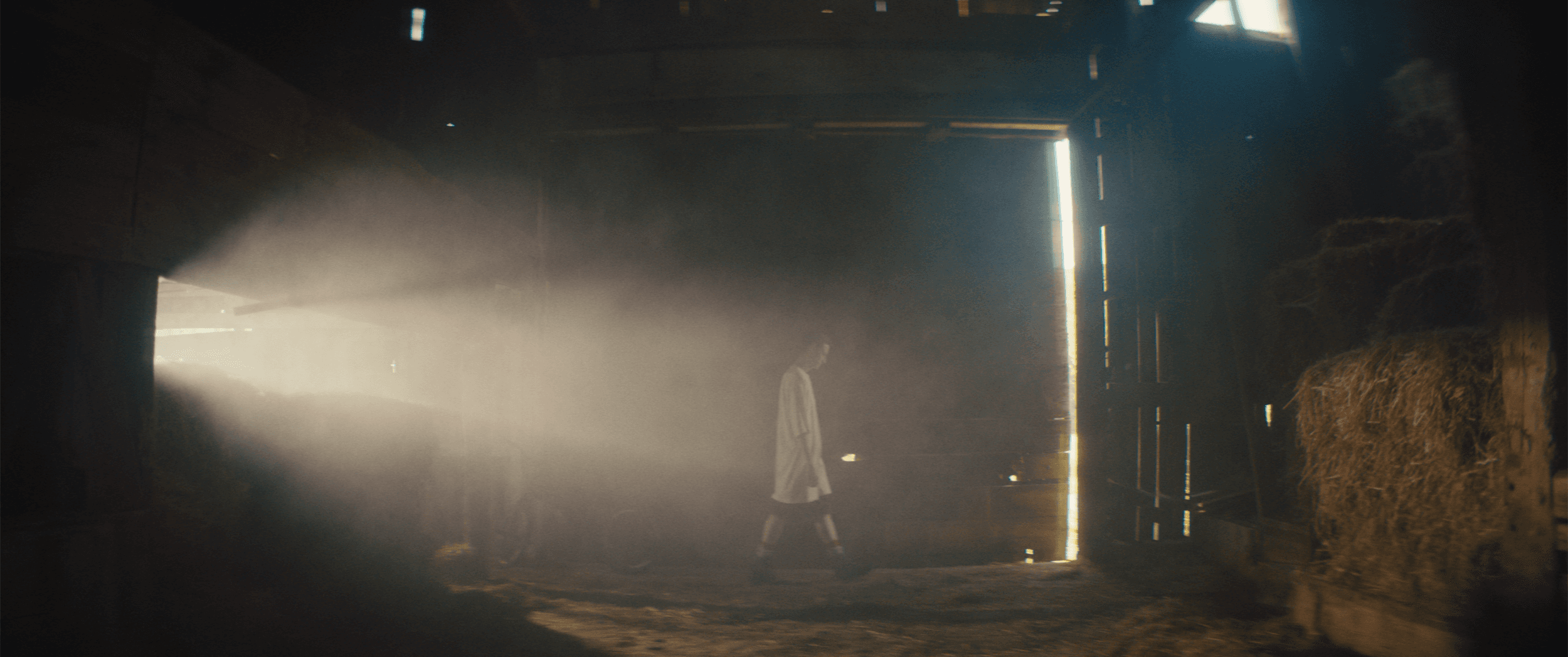 Feature Film Honeydew image